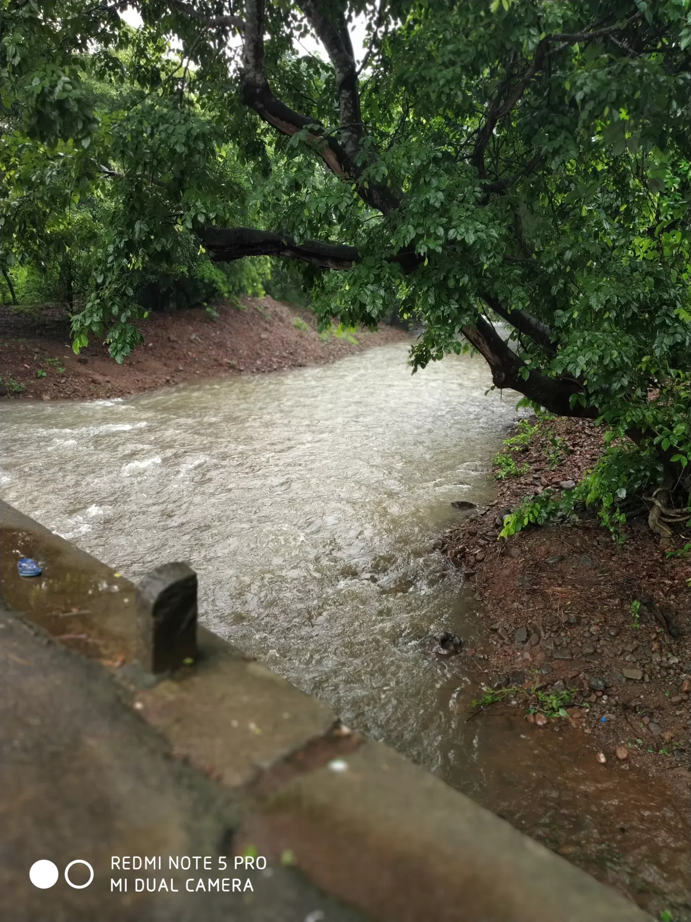 Photo of Sanjay Gandhi National Park By Kishan Lotiya