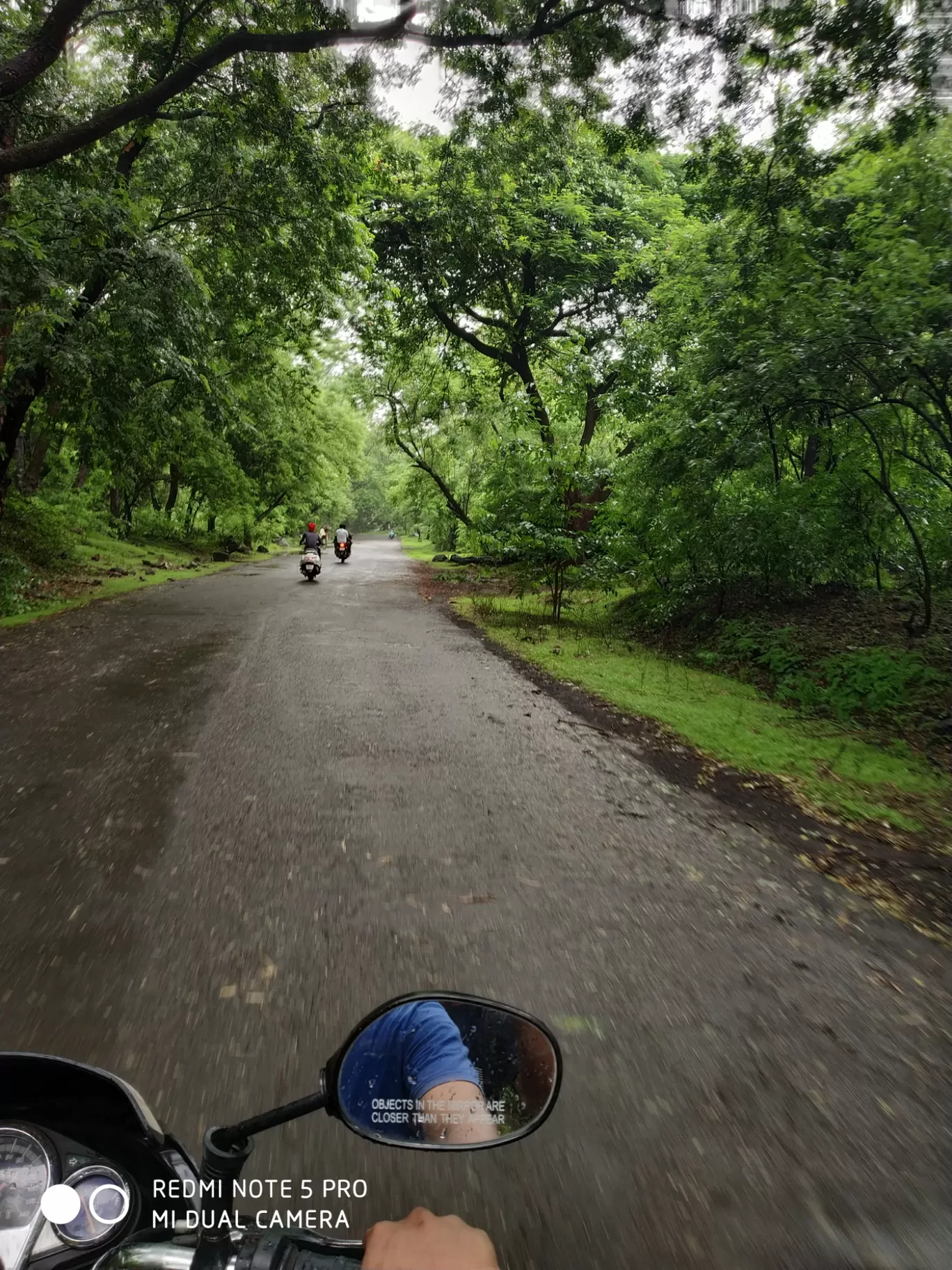 Photo of Sanjay Gandhi National Park By Kishan Lotiya