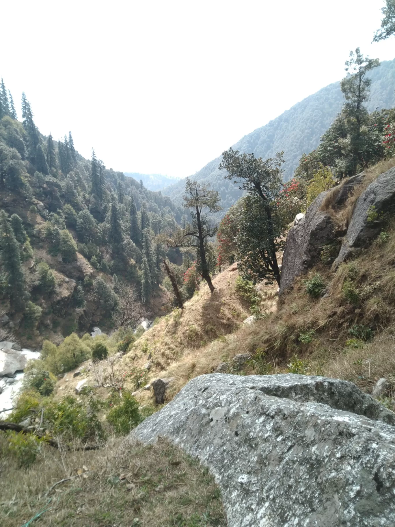 Photo of Dharamshala By Sandeep Lakht