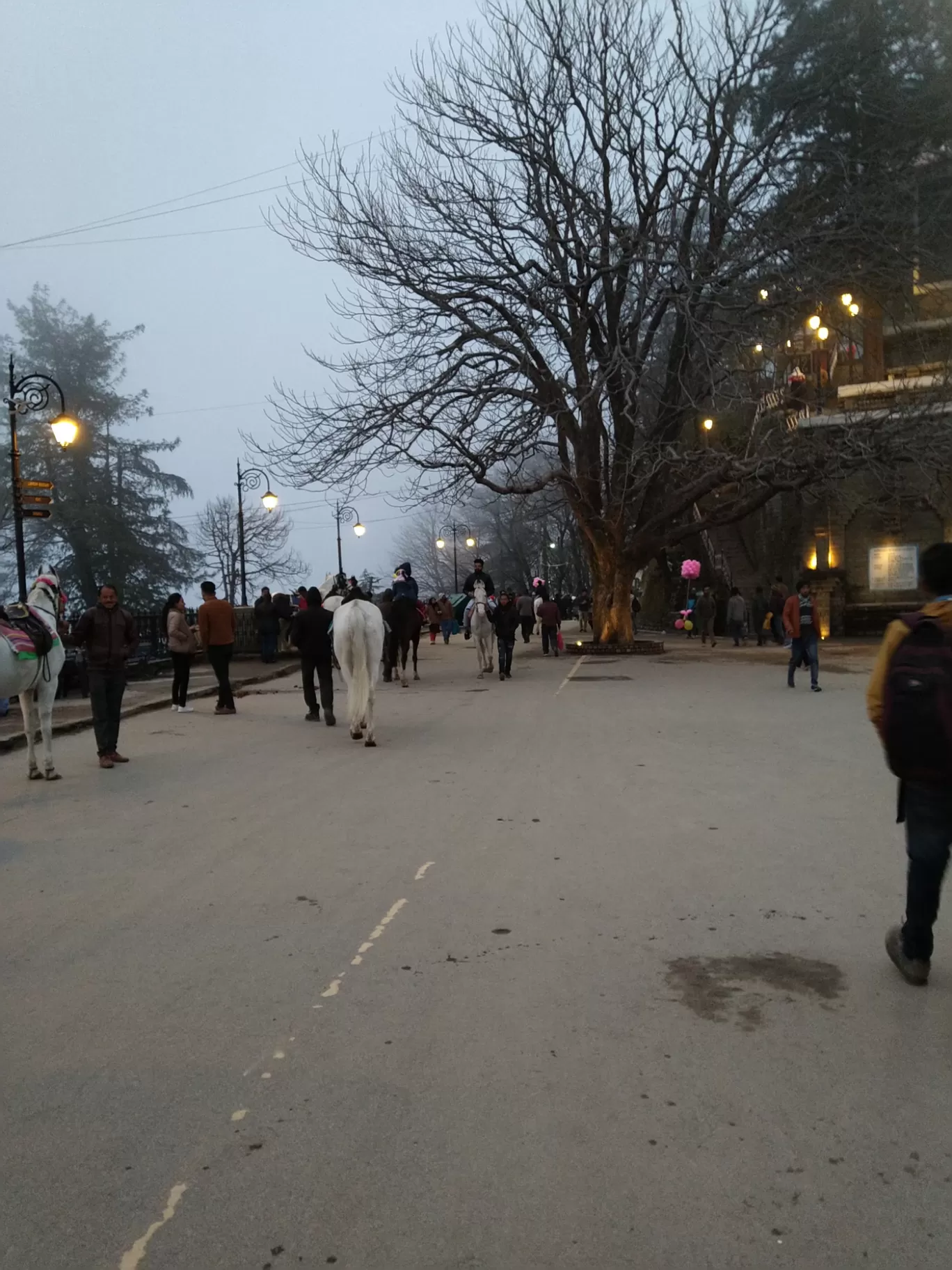 Photo of Shimla By Sandeep Lakht