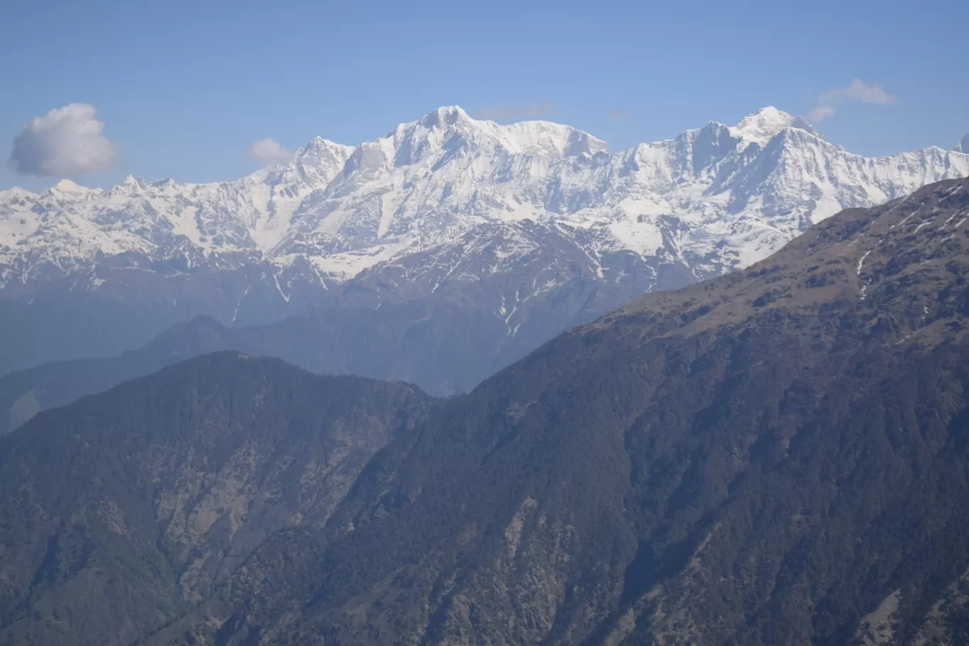 Photo of Chopta By Shubham kothari