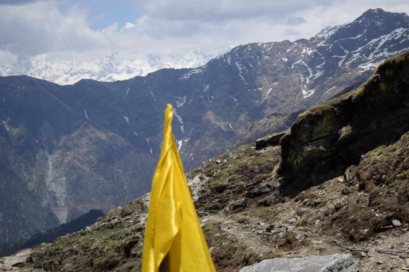 Photo of Chopta By Shubham kothari