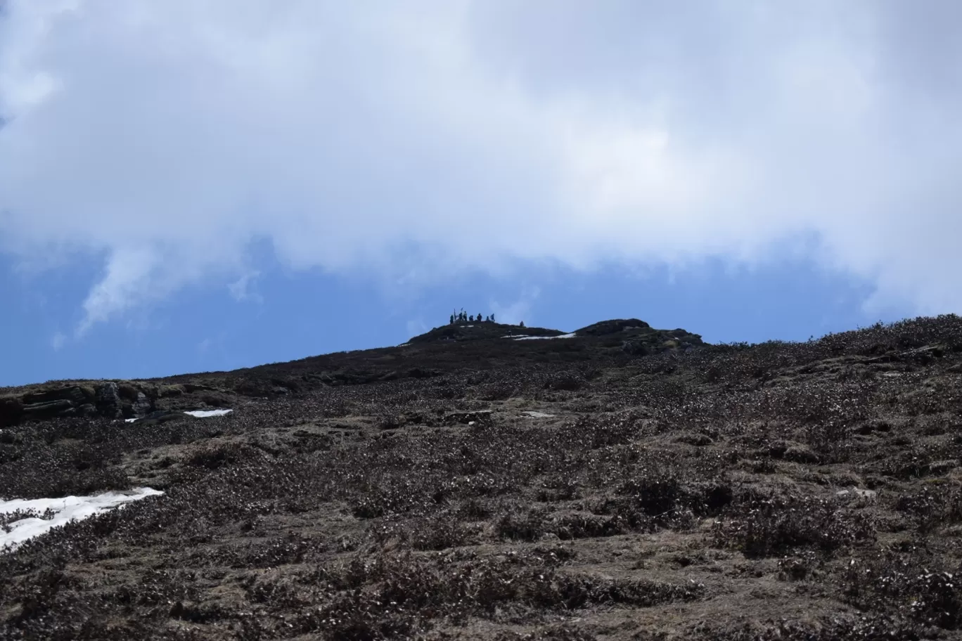 Photo of Chopta By Shubham kothari