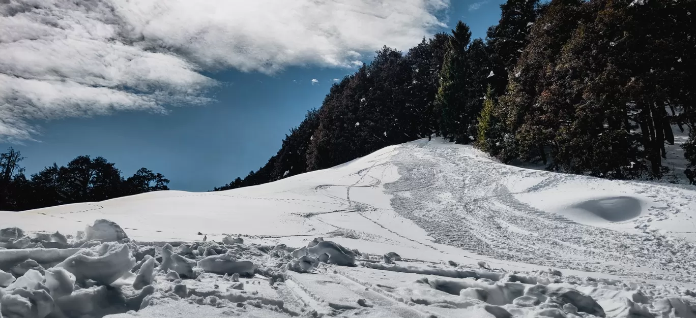 Photo of Auli Laga Joshimath By Viren Dadhania