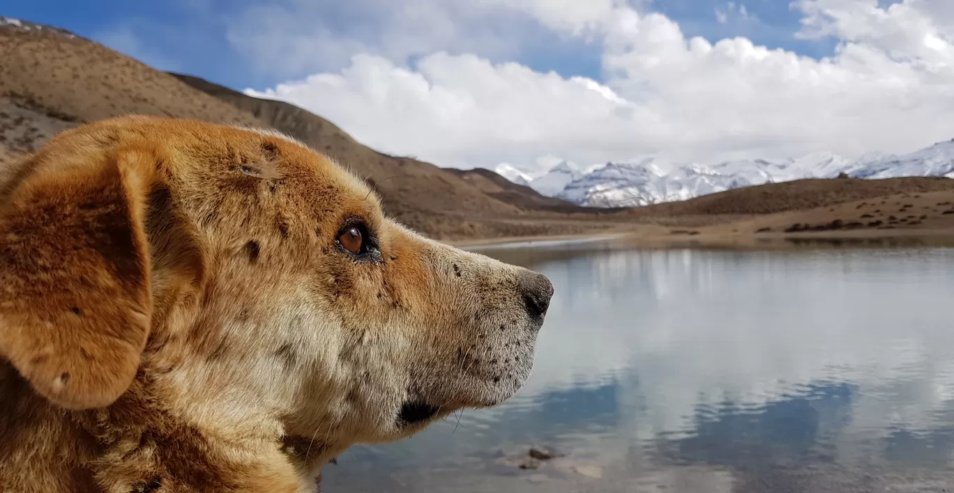 Photo of Dhankar Lake By Rahul Shetti
