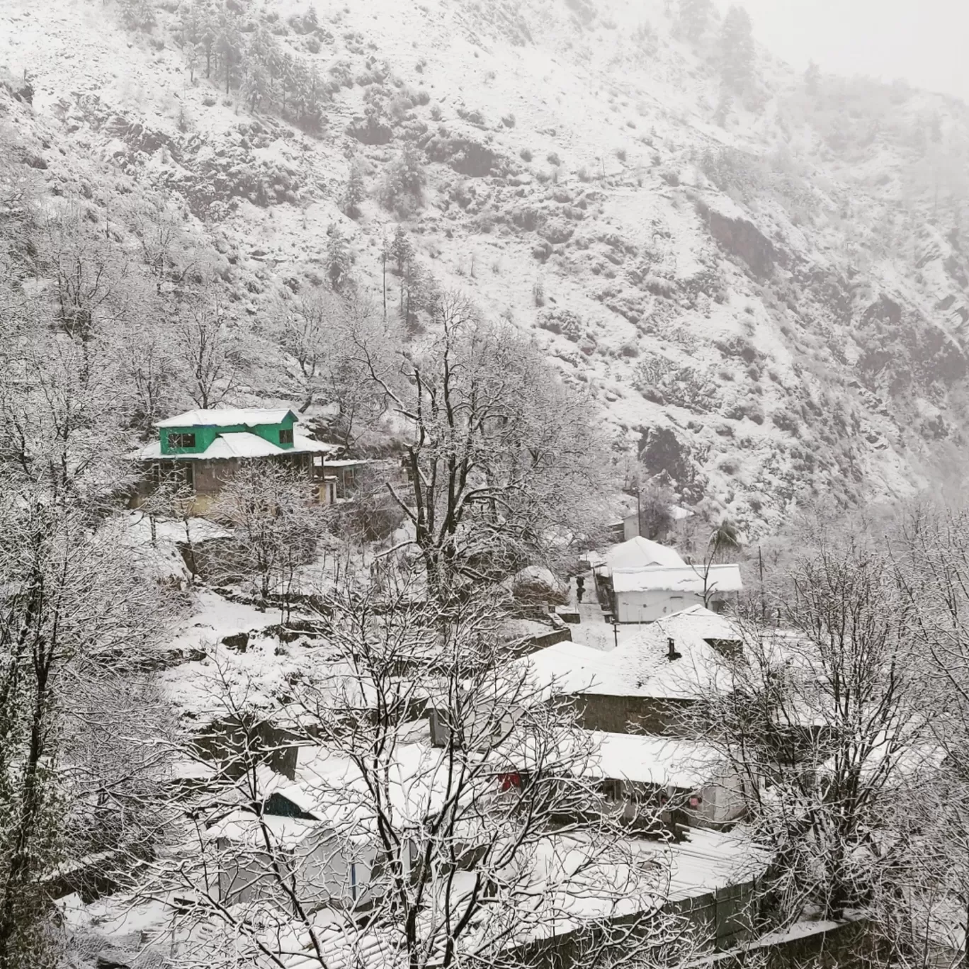 Photo of Banihal By Sambhav Sood