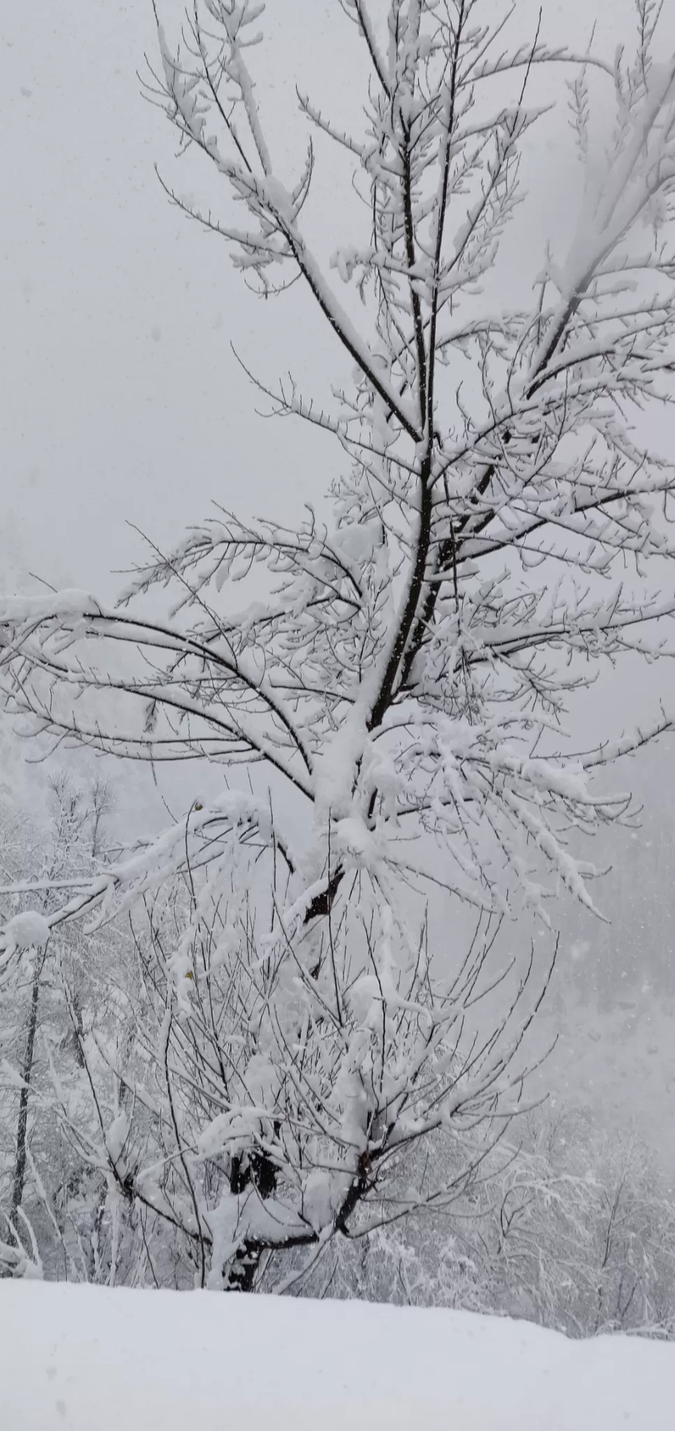 Photo of Banihal By Sambhav Sood