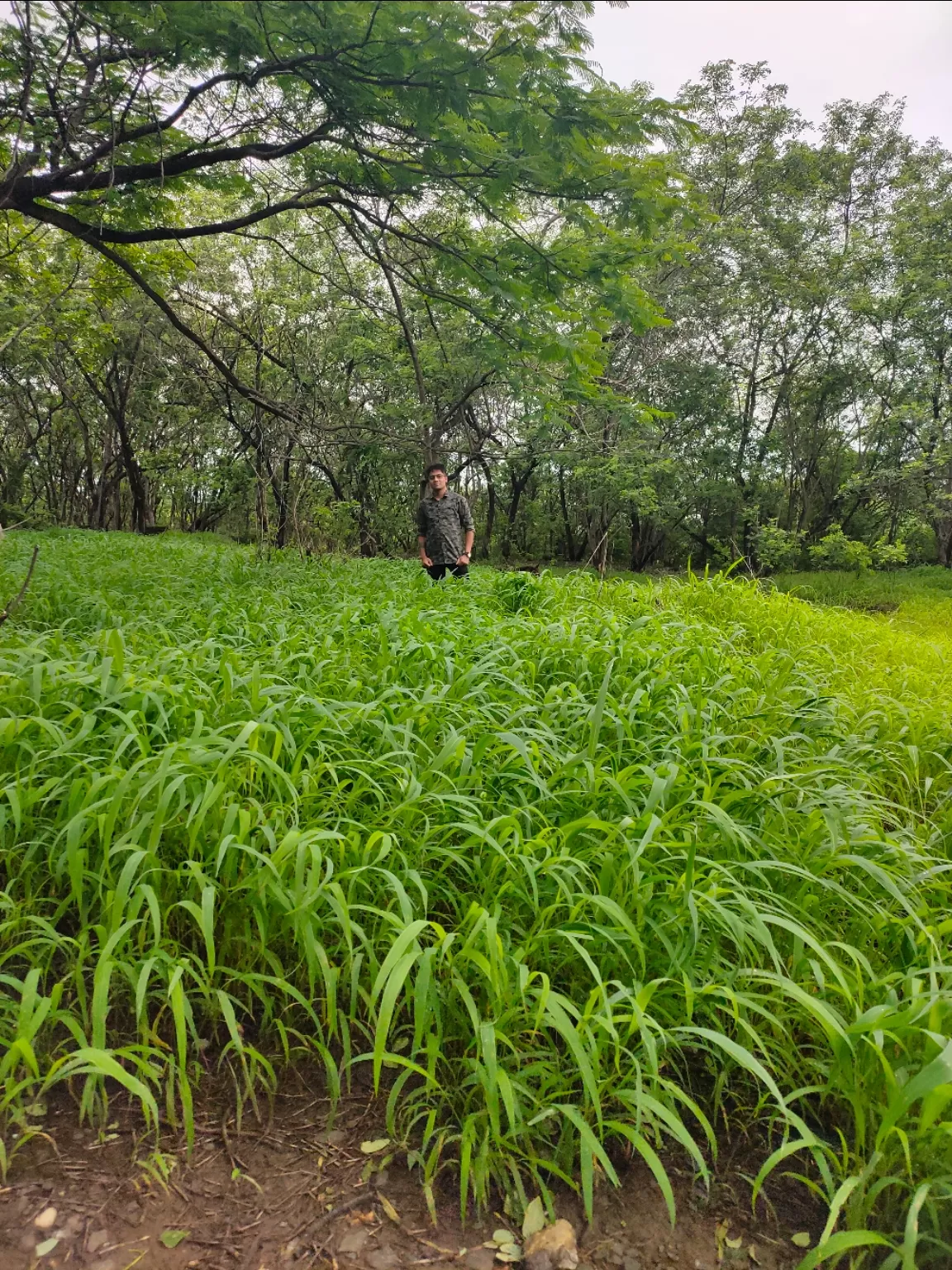 Photo of Vetal Tekdi By CA Jay Thakur