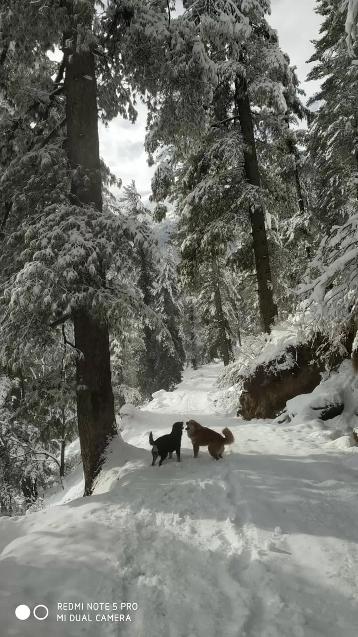 Photo of Kasol By Sanchit Garg