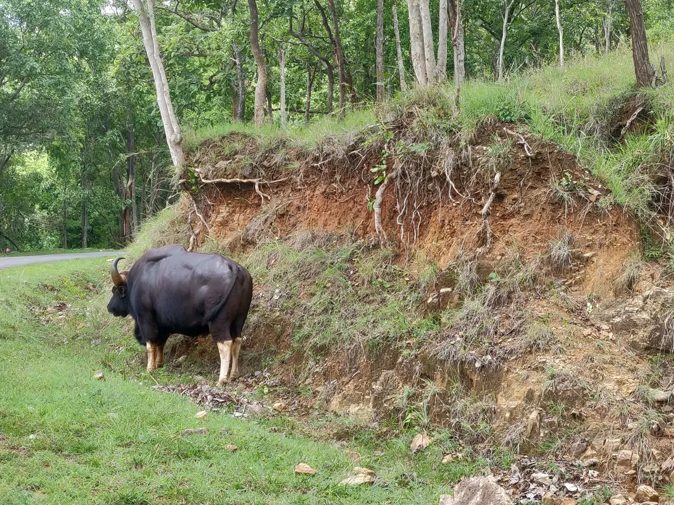 Photo of B R Hills By Rakshith hm