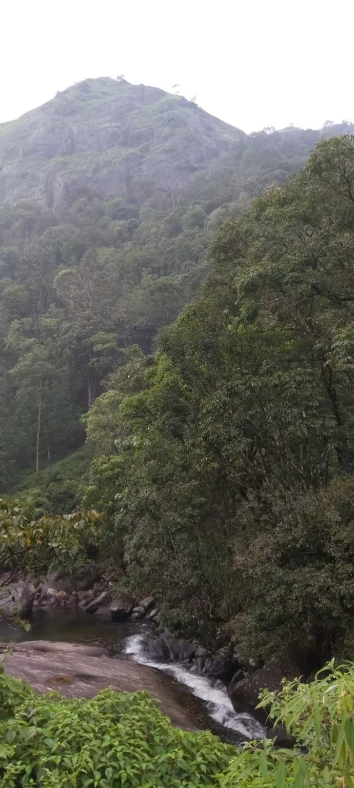 Photo of Wayanad By Rythik Shetty