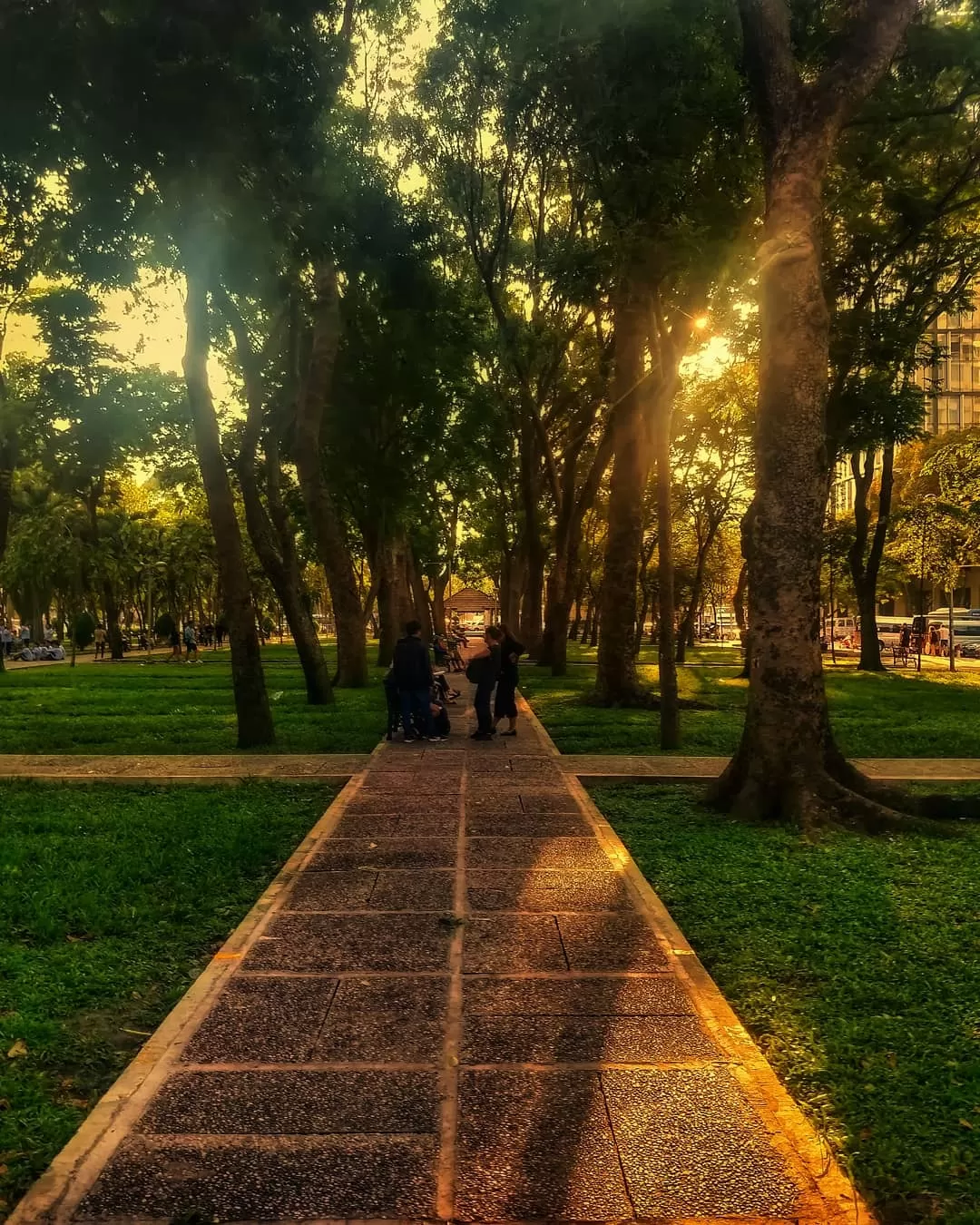 Photo of Vietnam By Richa Shah