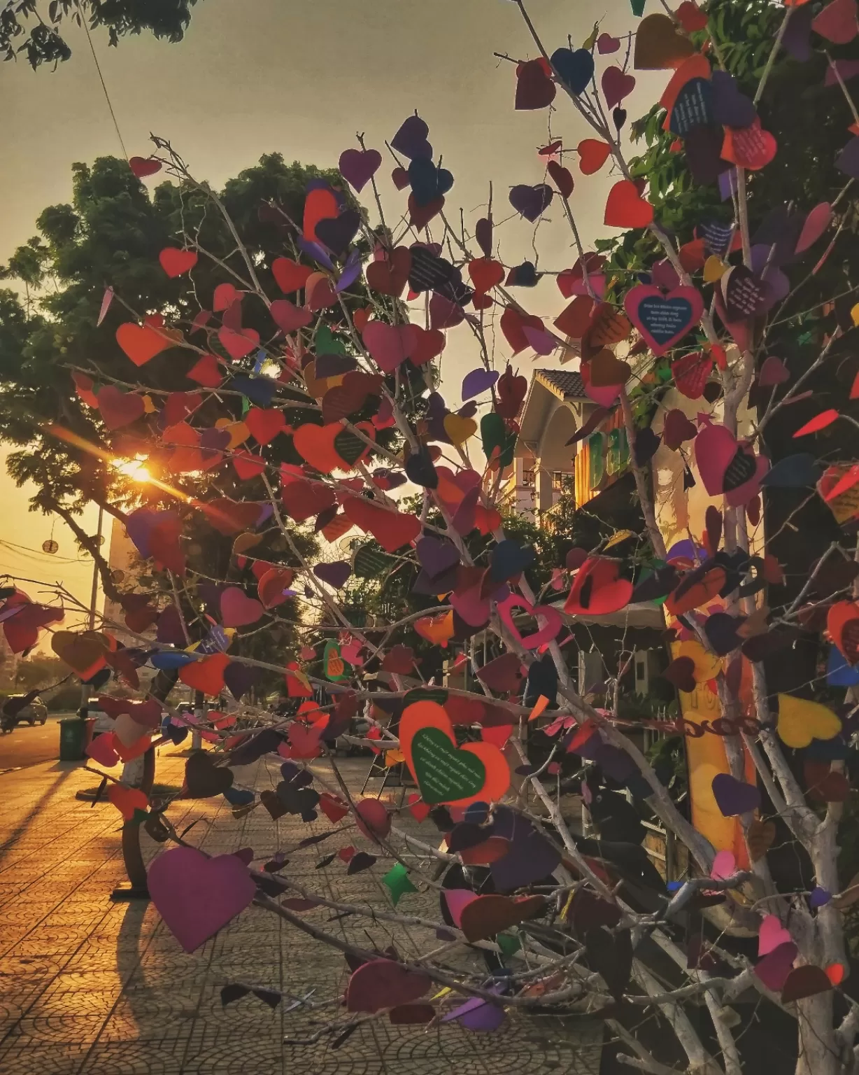 Photo of Vietnam By Richa Shah