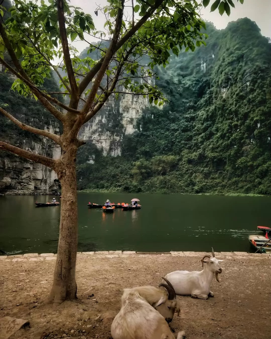 Photo of Vietnam By Richa Shah