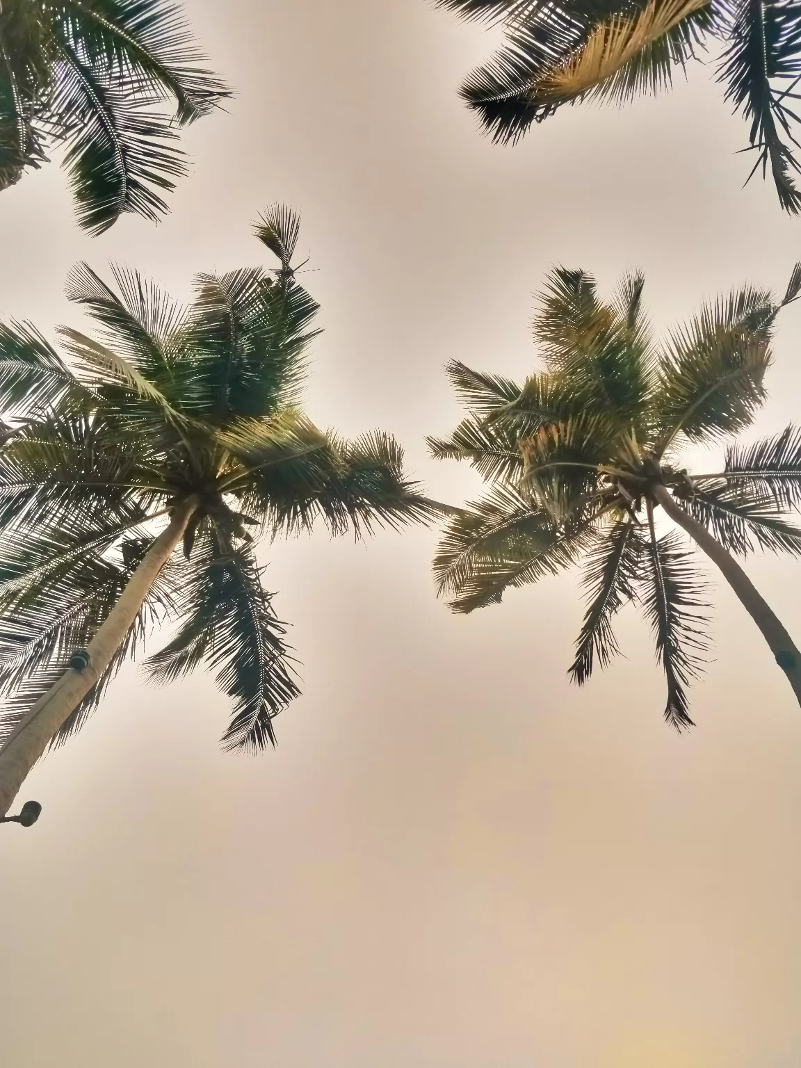 Photo of Goa By Richa Shah