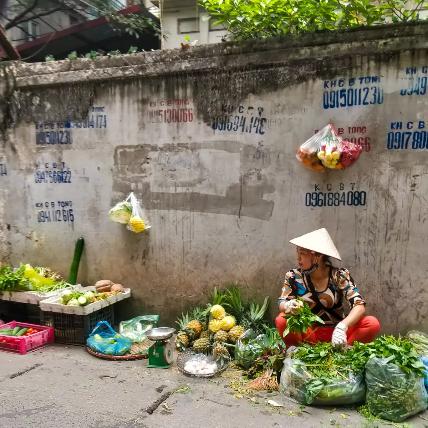 Photo of Vietnam By Richa Shah