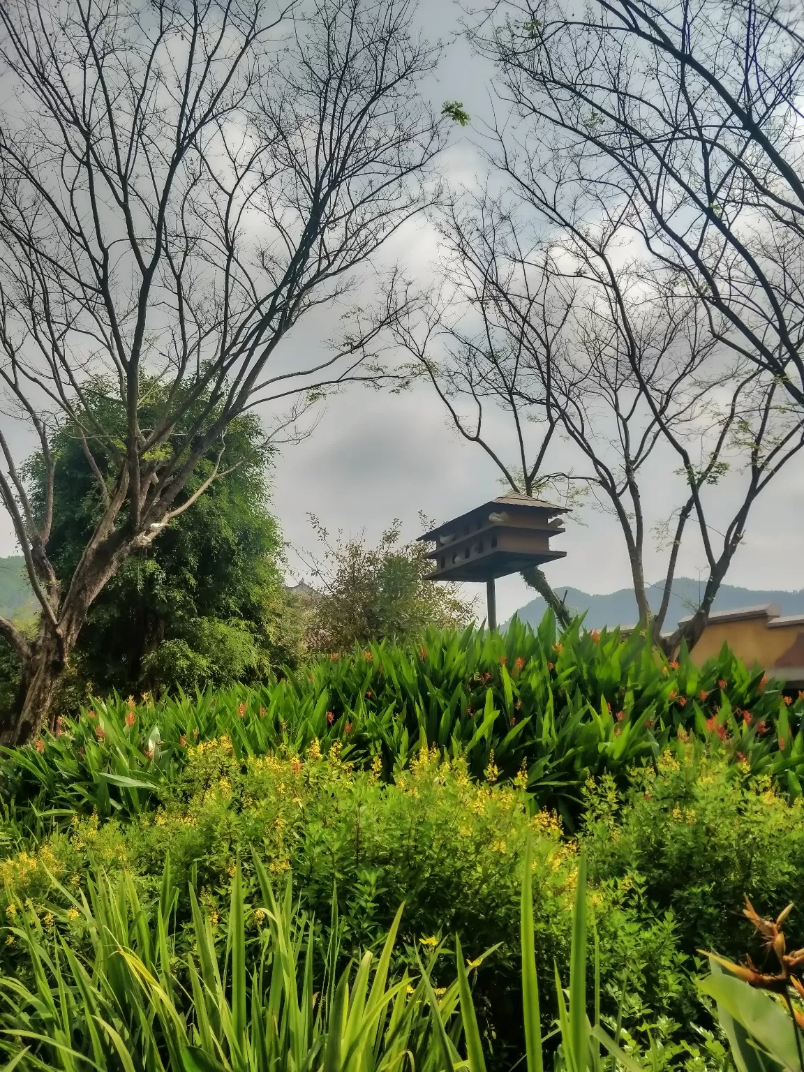 Photo of Vietnam By Richa Shah