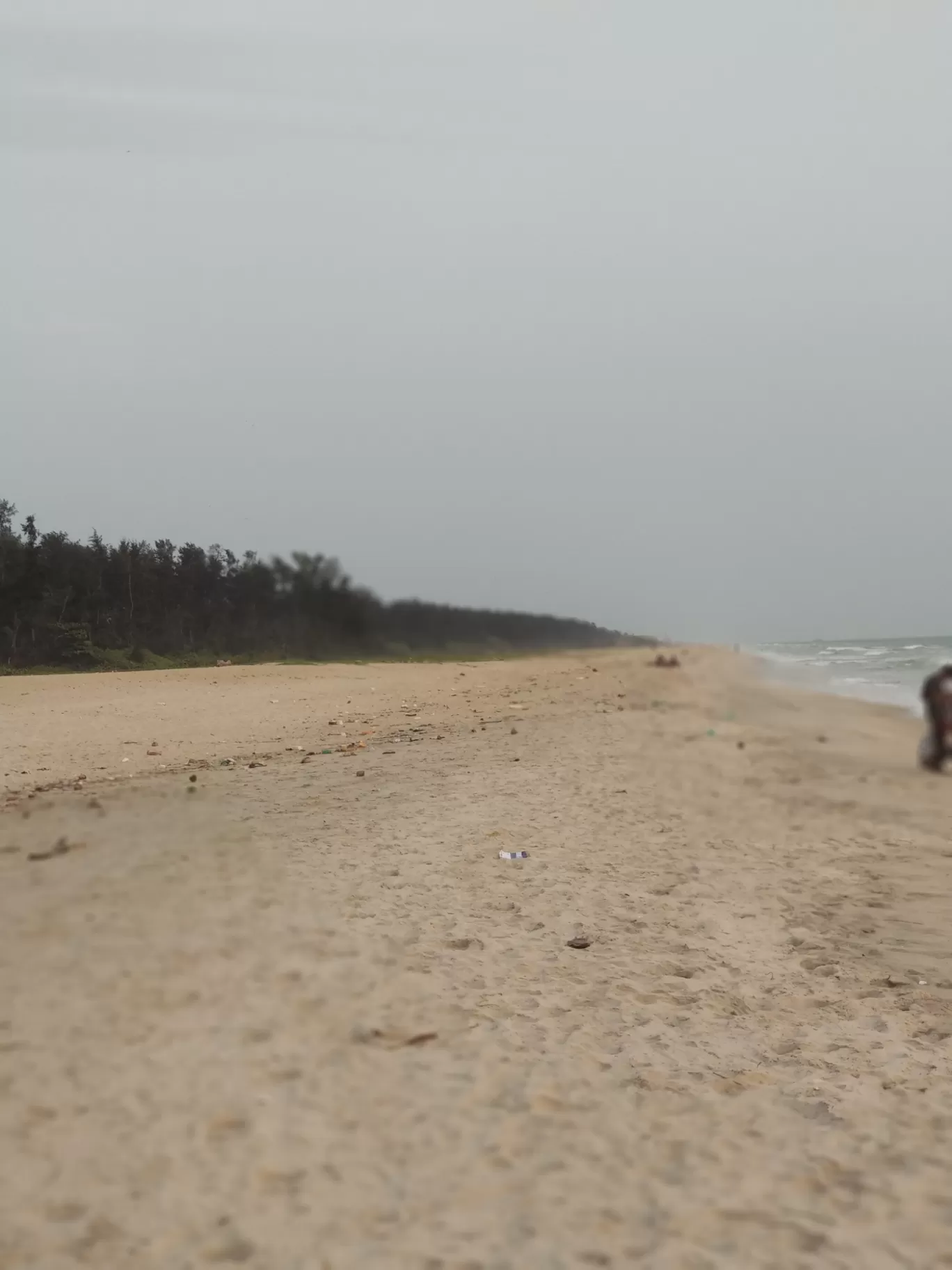 Photo of Tannirbhavi Beach By Akhil Pillai