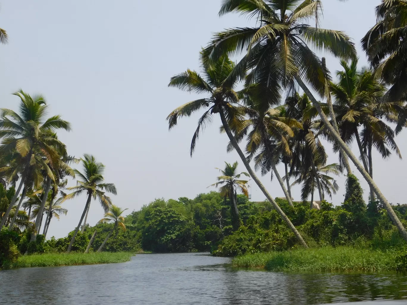 Photo of Kerala By Husain kheti