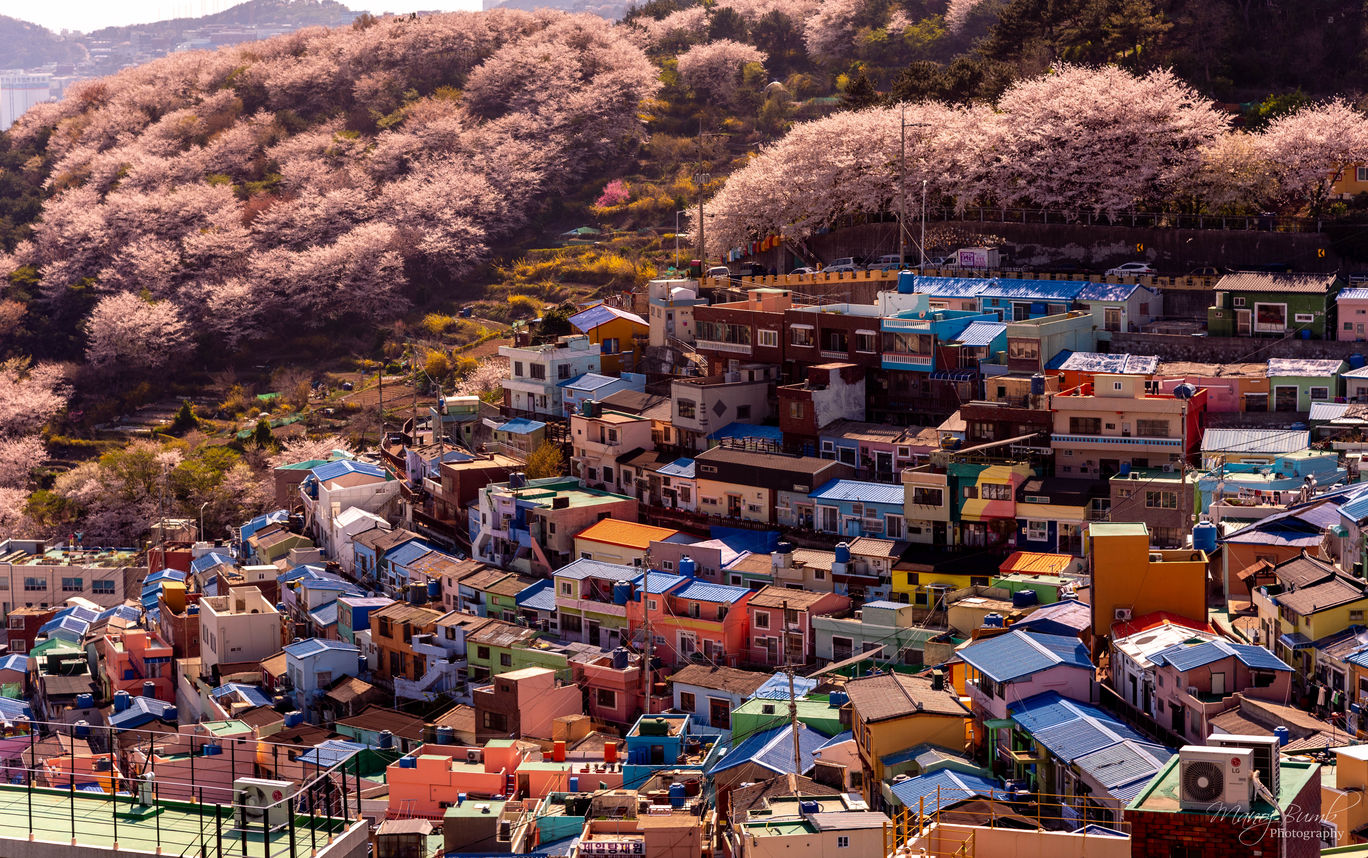 Photo of South Korea By musafirjodi