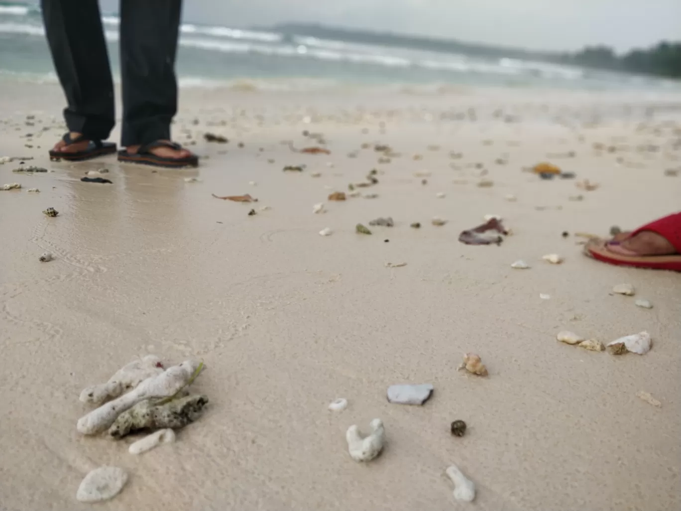 Photo of Andaman Islands By Chandrima Mukherjee