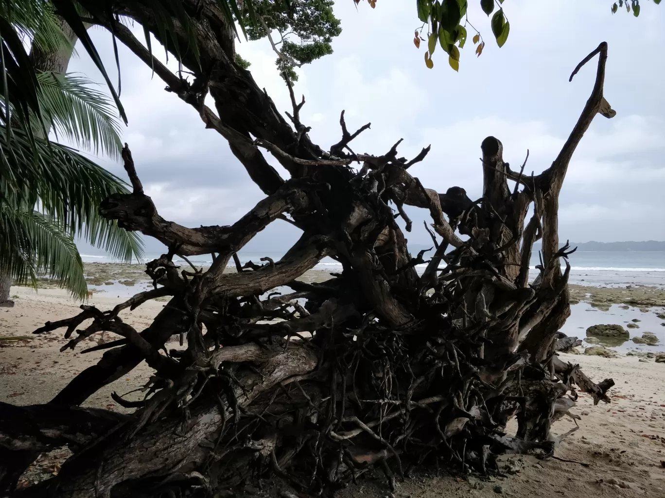 Photo of Andaman Islands By Chandrima Mukherjee