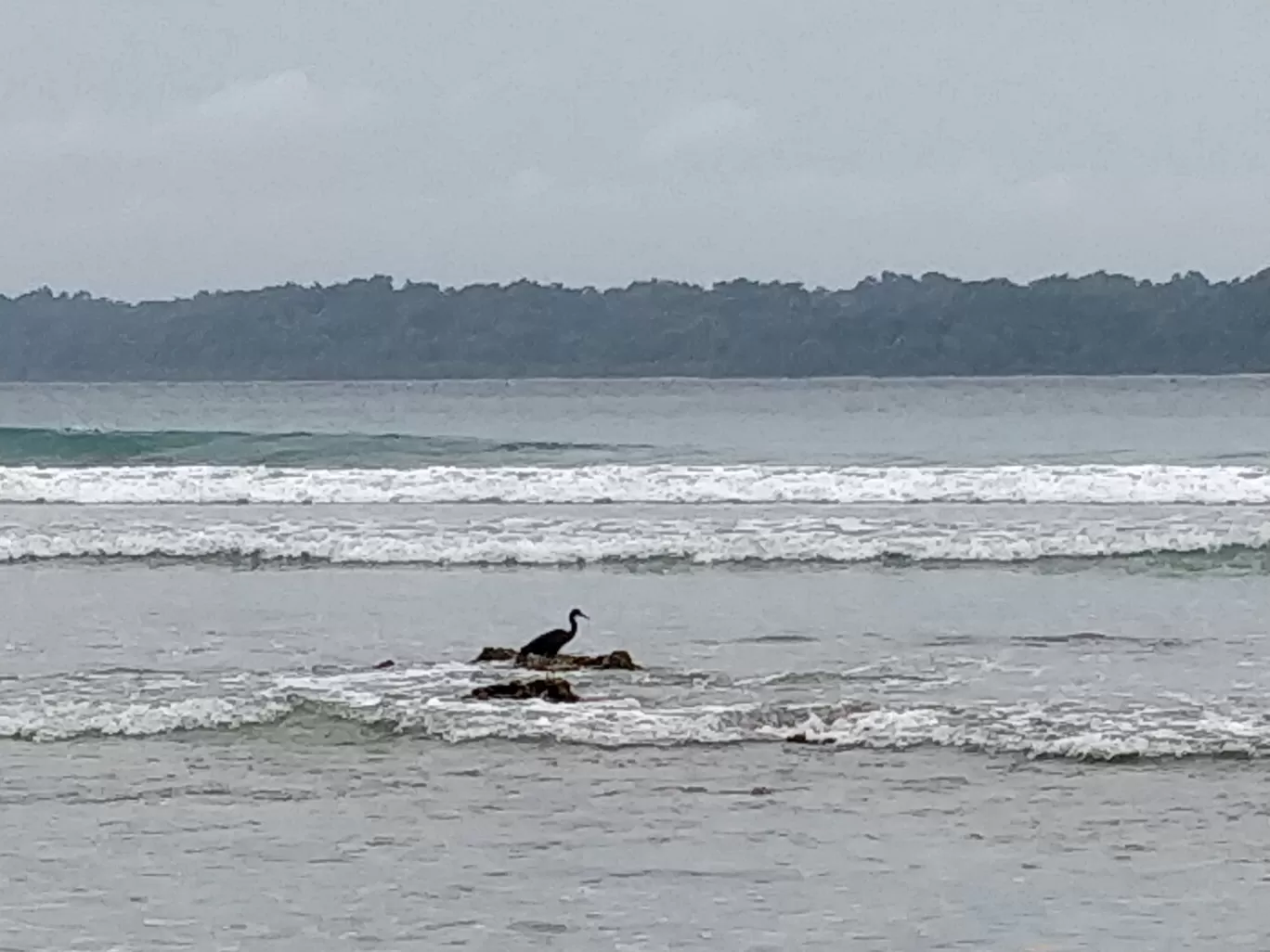 Photo of Andaman Islands By Chandrima Mukherjee