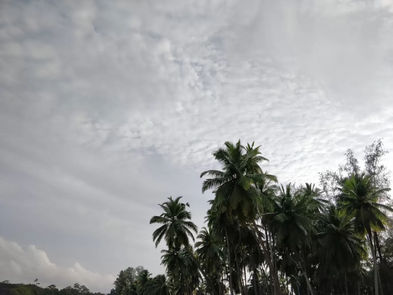 Photo of Andaman Islands By Chandrima Mukherjee