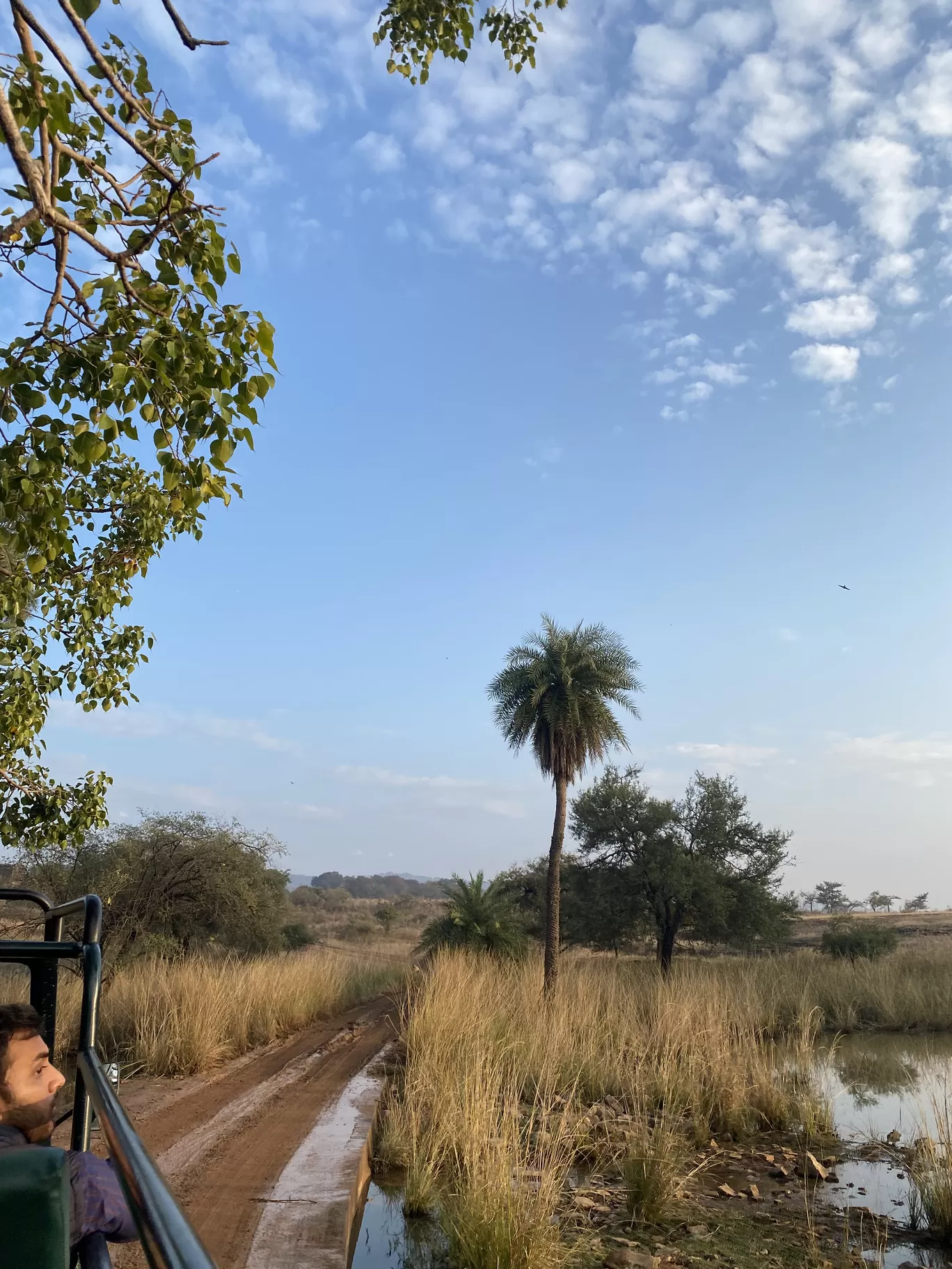 Photo of Ranthambhore Bagh Dwar Camp By Shraddha Chandan