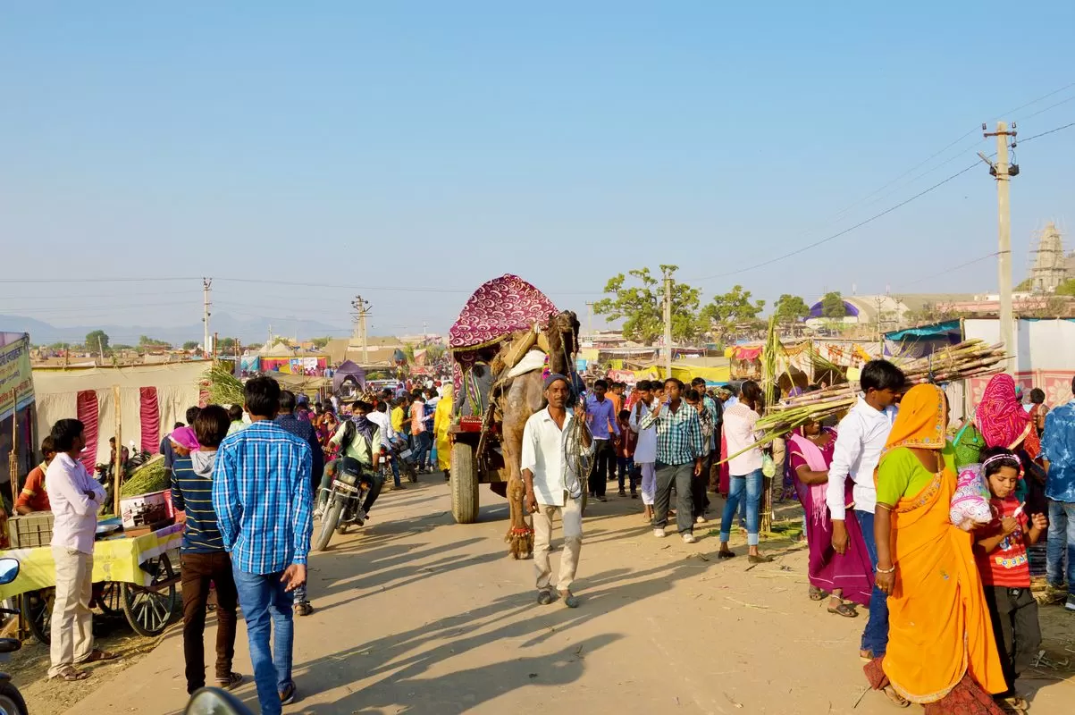 Photo of Pushkar By Natwar Lal Bhargawa