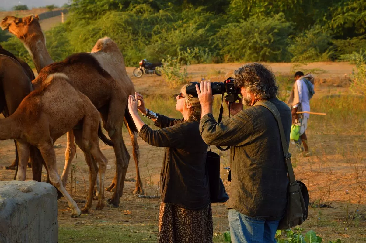 Photo of Pushkar By Natwar Lal Bhargawa
