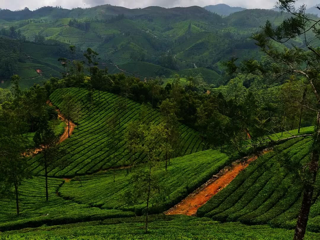 Photo of Munnar By Arun Pandian