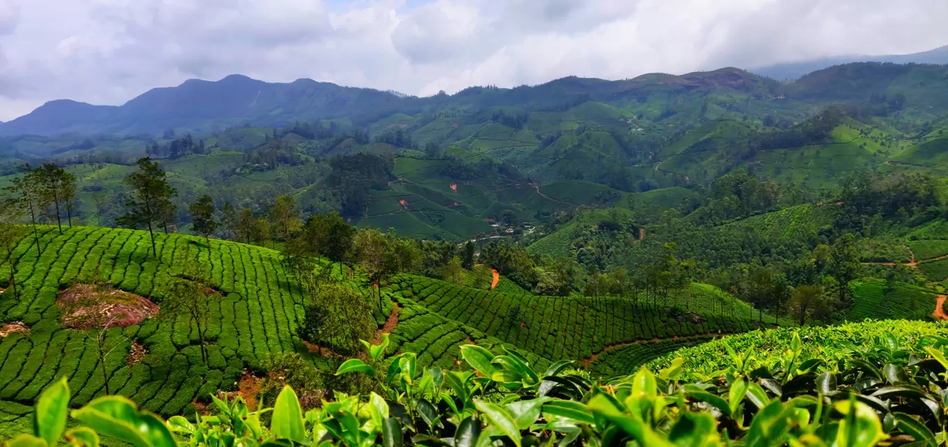 Photo of Munnar By Arun Pandian