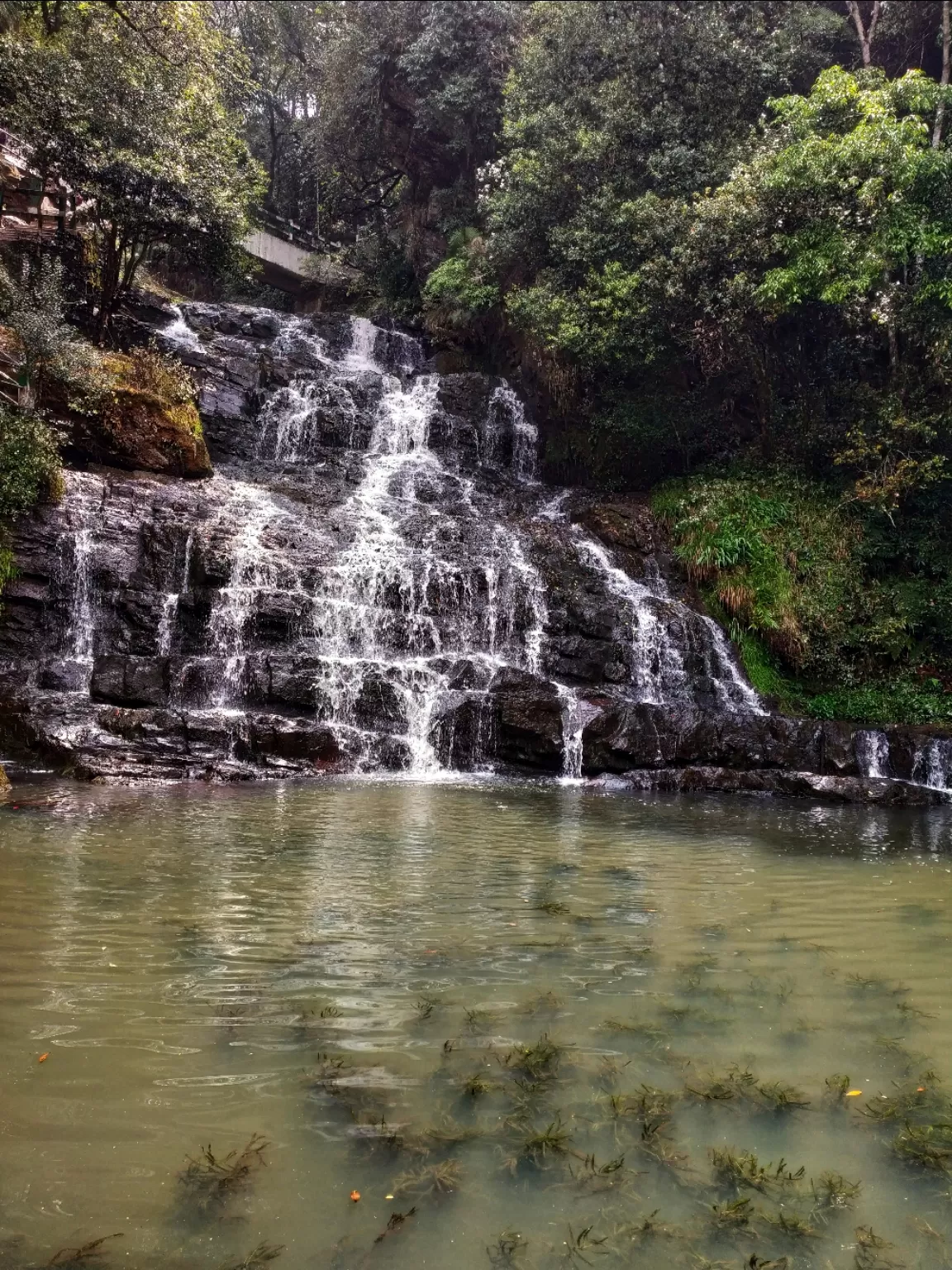 Photo of Eco Park By Anubhab Mondal