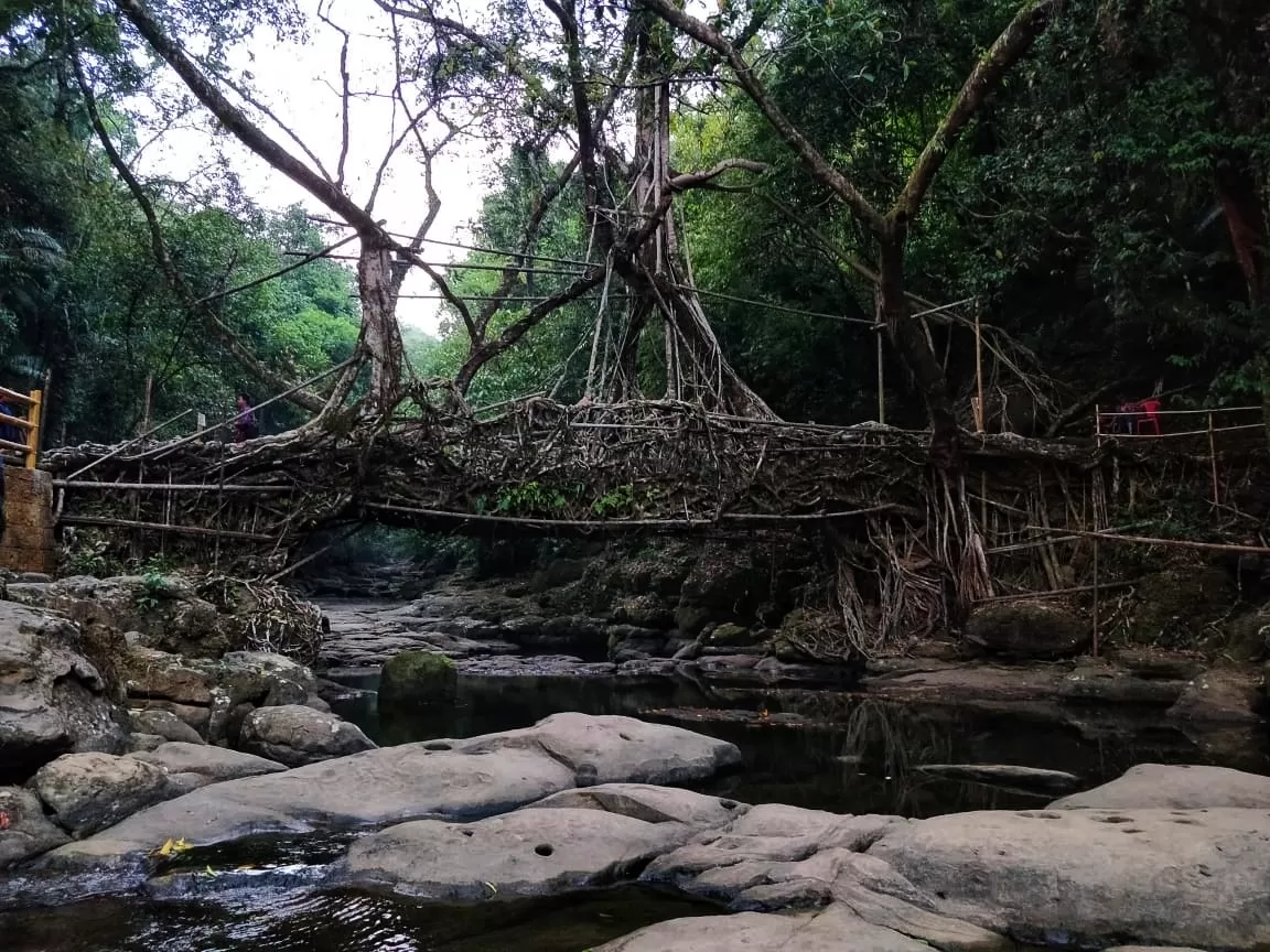 Photo of Eco Park By Anubhab Mondal