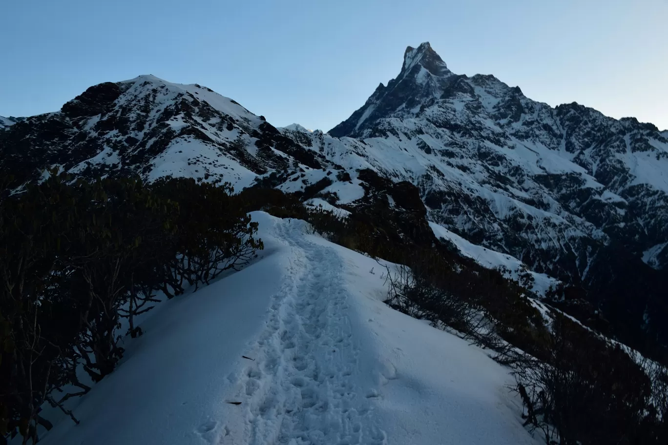 Photo of Mardi Himal Base Camp By Alex 