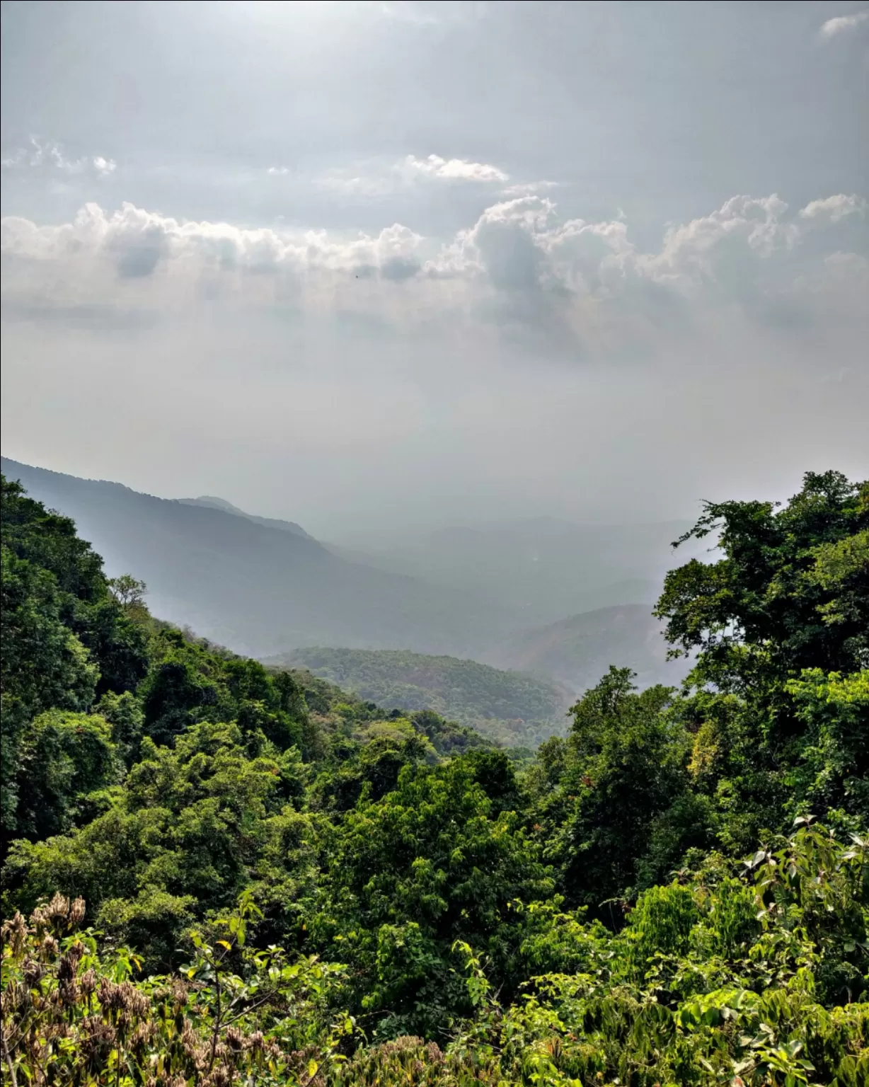 Photo of Amboli Ghat Waterfall By Mithuleswar Reddy
