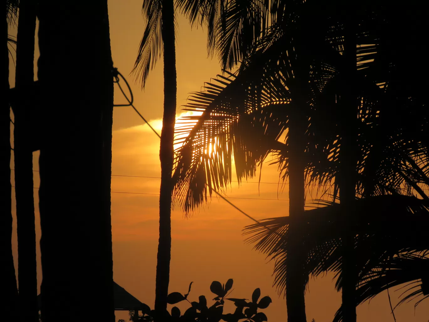 Photo of Walaval By Harshad Tirodkar