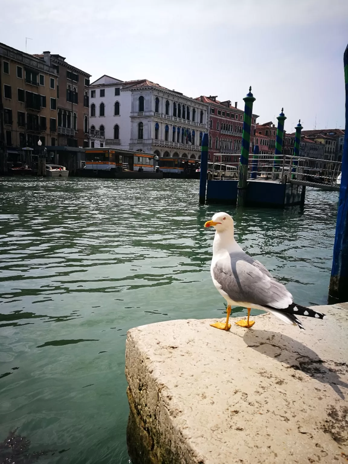 Photo of Venice By Zlatina Karshanova