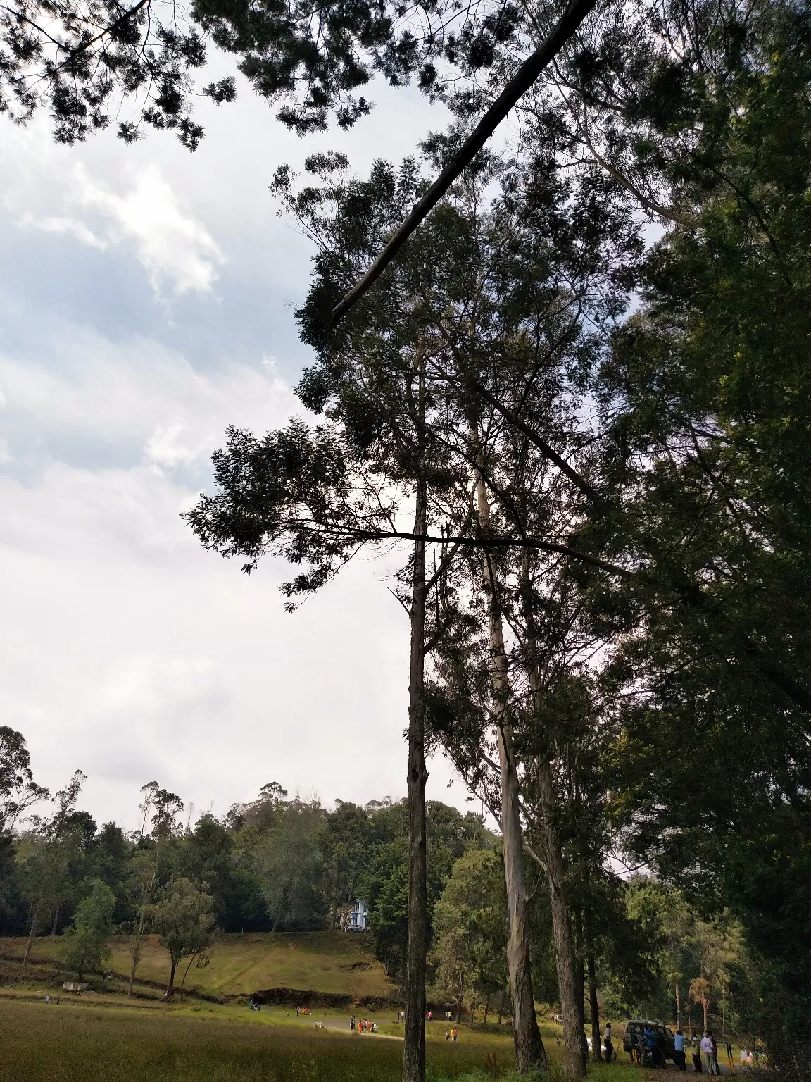 Photo of Kodaikanal By Kabyashree Patra