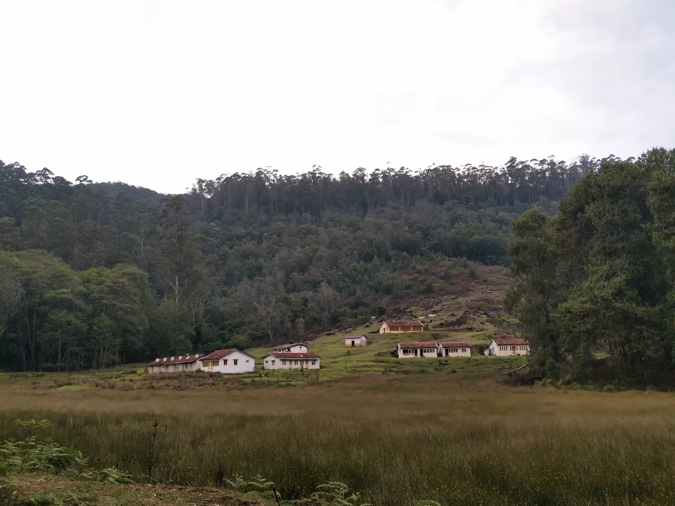 Photo of Kodaikanal By Kabyashree Patra
