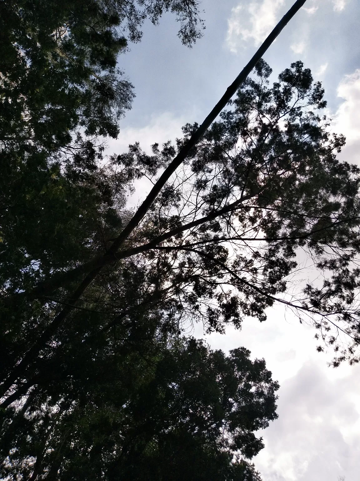 Photo of Kodaikanal By Kabyashree Patra