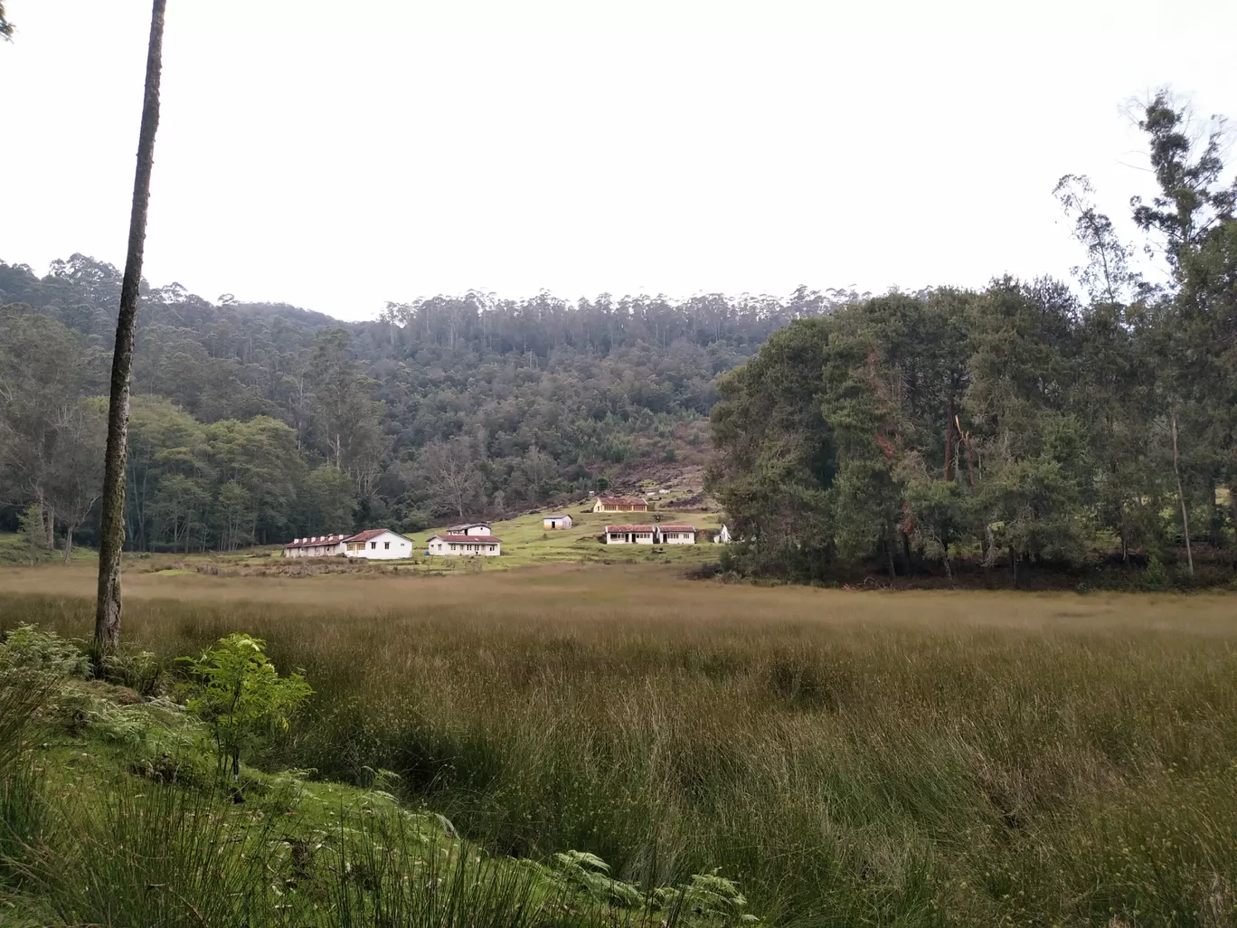 Photo of Kodaikanal By Kabyashree Patra