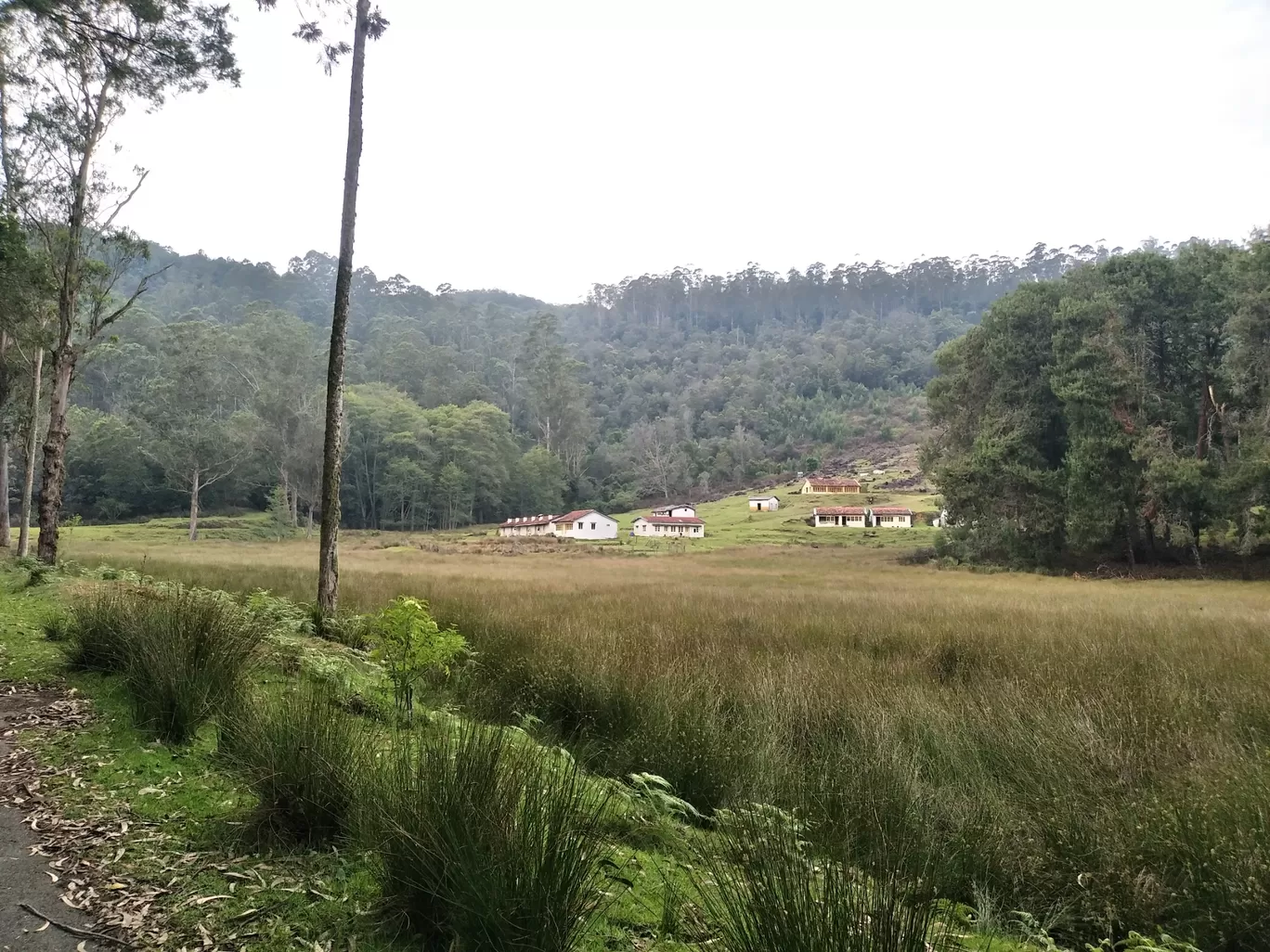 Photo of Kodaikanal By Kabyashree Patra