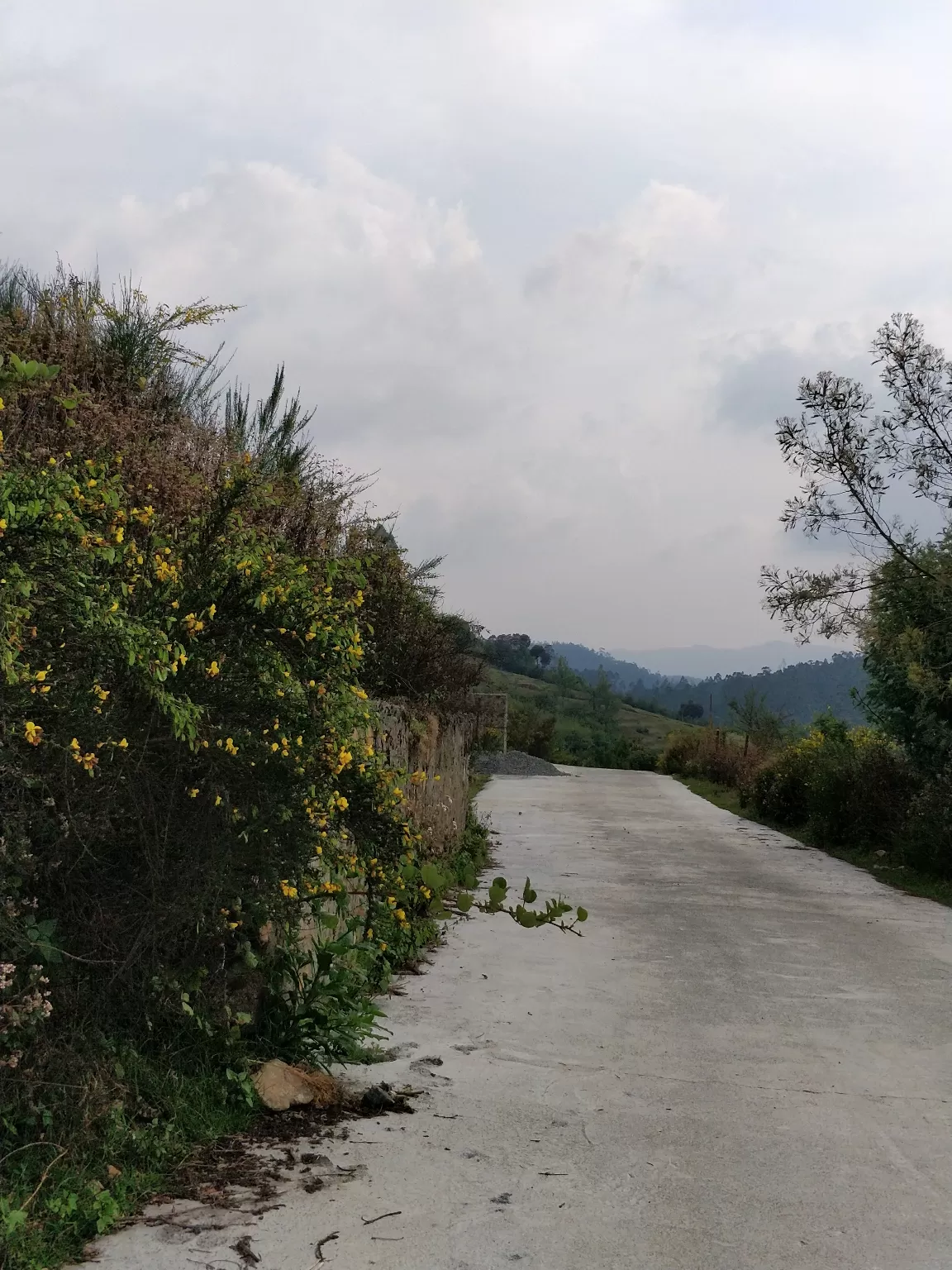 Photo of Kodaikanal By Kabyashree Patra