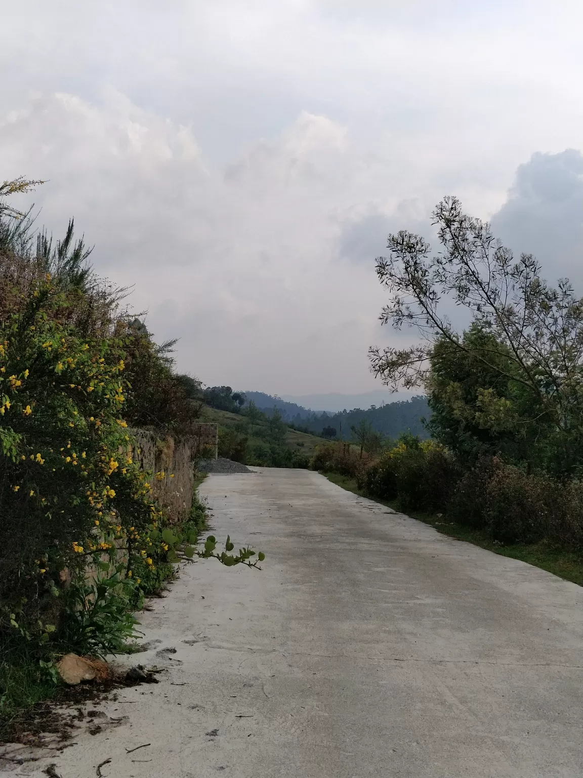 Photo of Kodaikanal By Kabyashree Patra