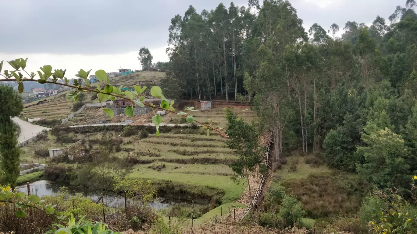 Photo of Kodaikanal By Kabyashree Patra