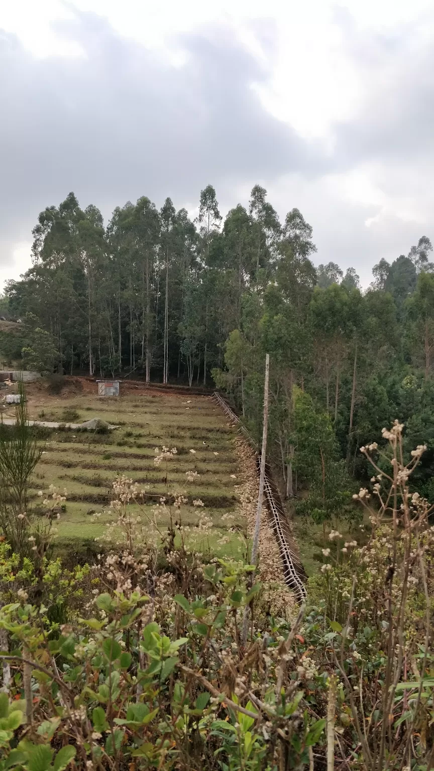 Photo of Kodaikanal By Kabyashree Patra