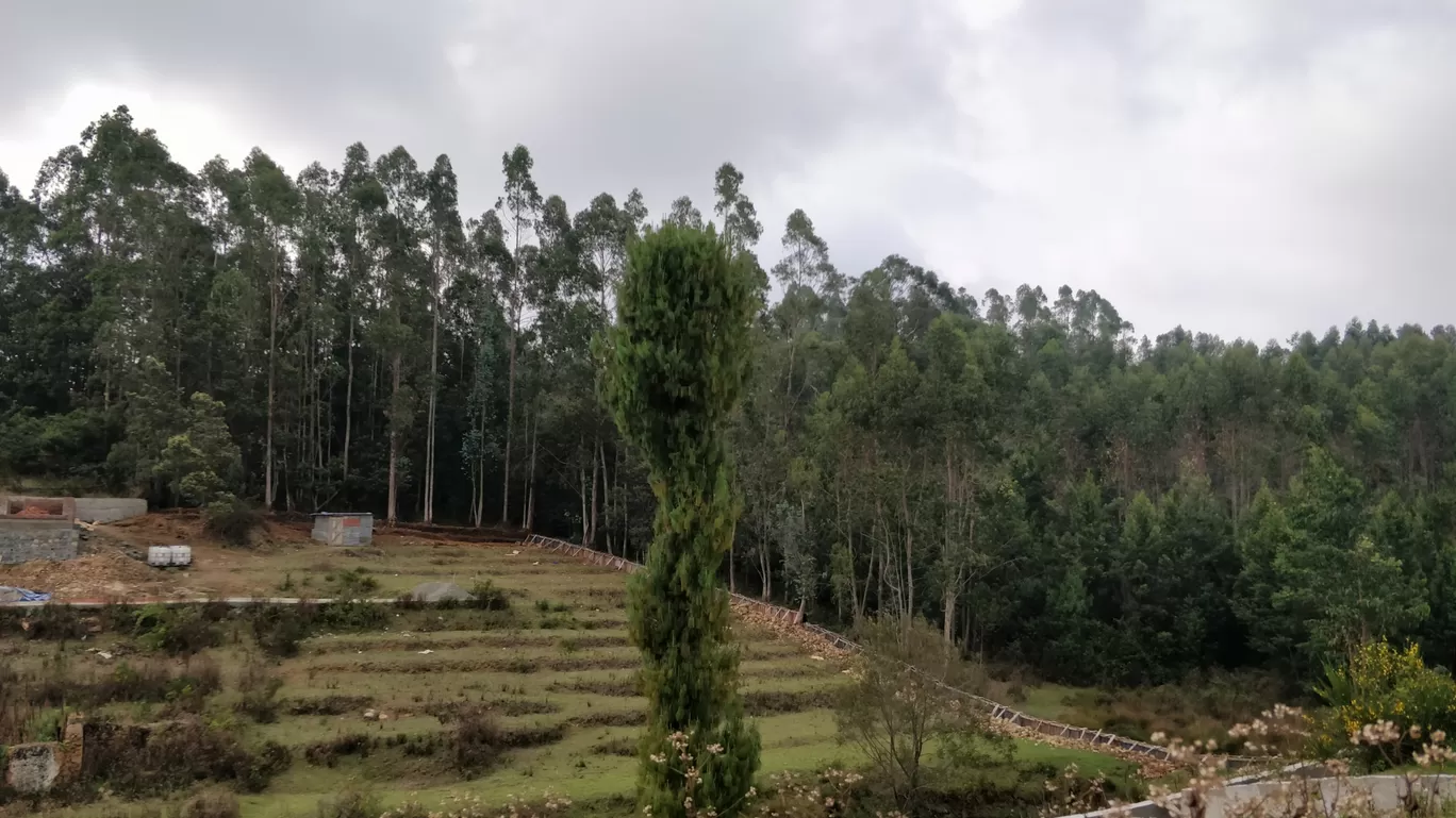 Photo of Kodaikanal By Kabyashree Patra