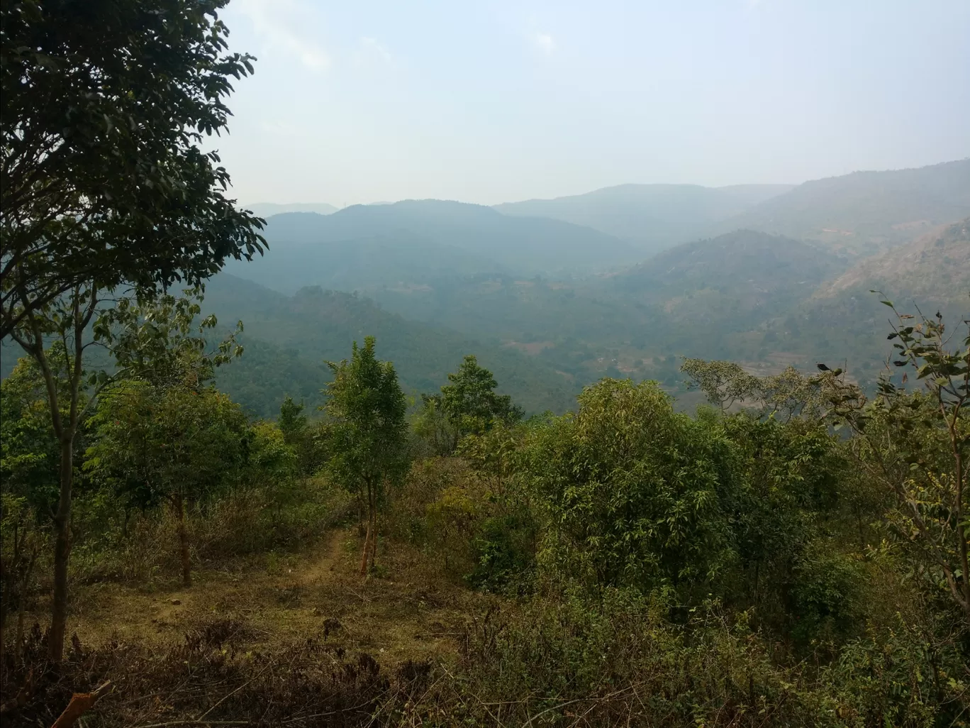 Photo of Araku Valley By Vishal Singh